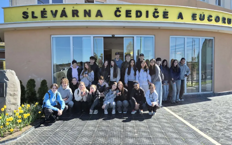 Exkurze