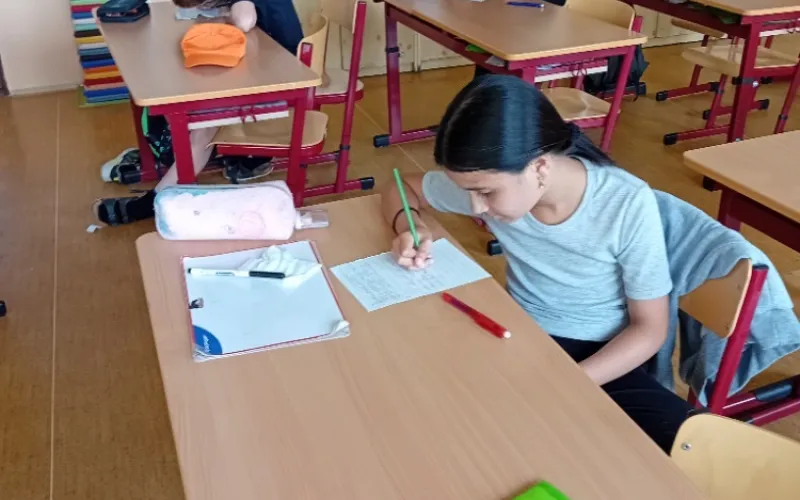 Projekt