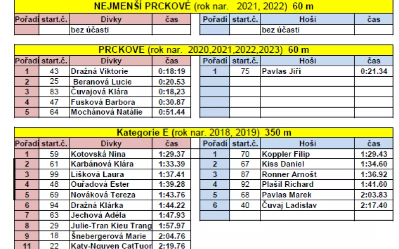 Snimek_obrazovky_2025