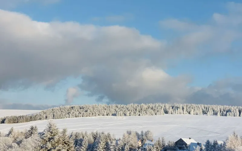 Leden - Když přijde zima, Anna Loukotová 5.A