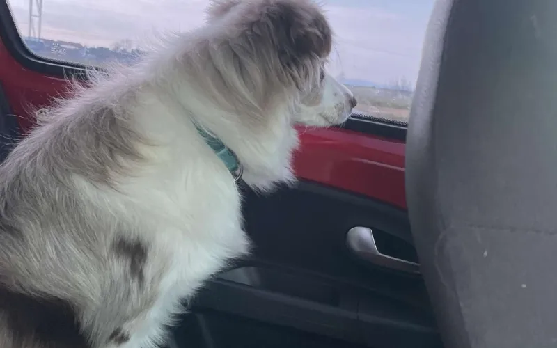 Březen - Začátek, Oleksandra Vozniuk 5.A