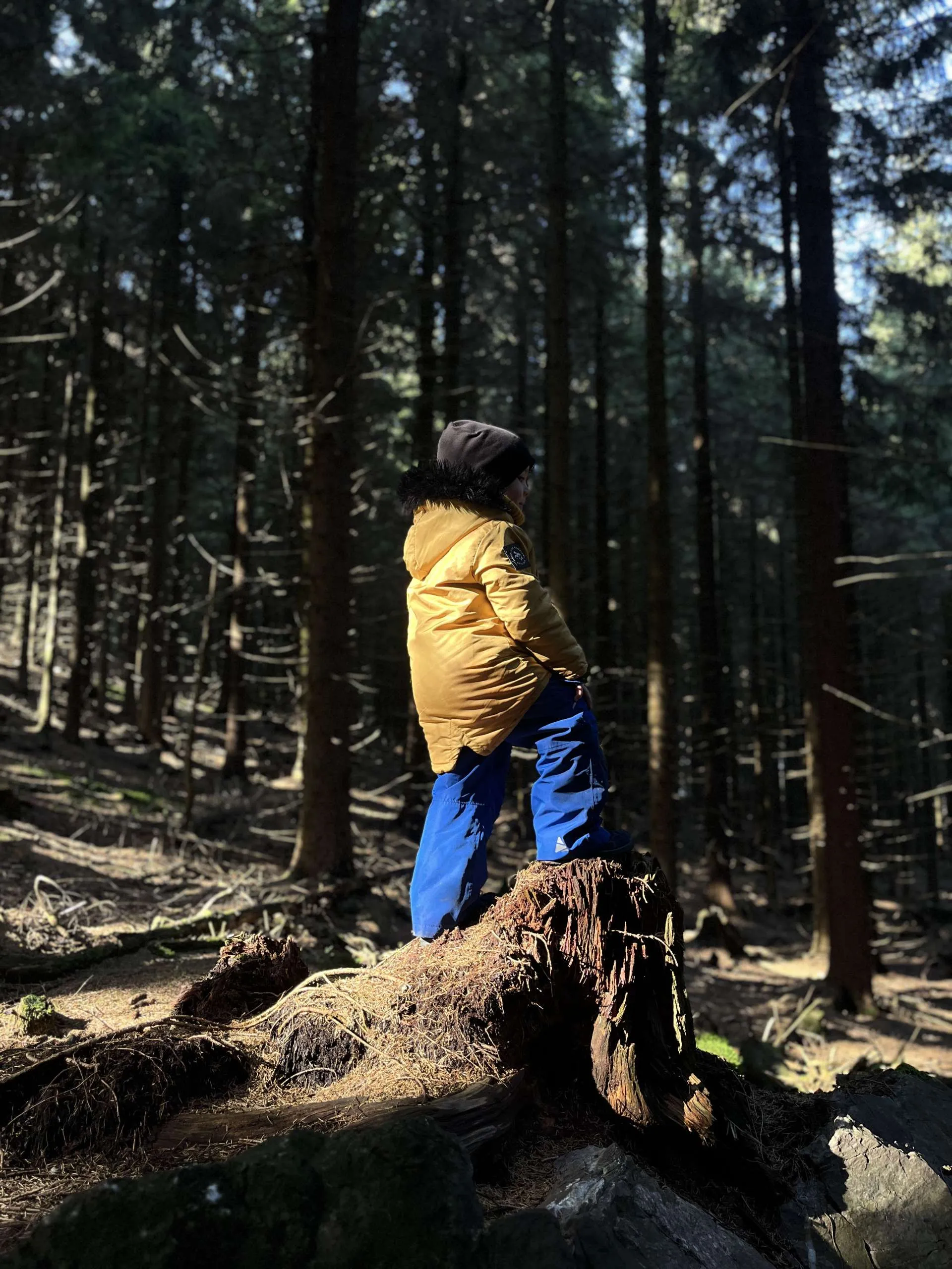Fotosoutěž