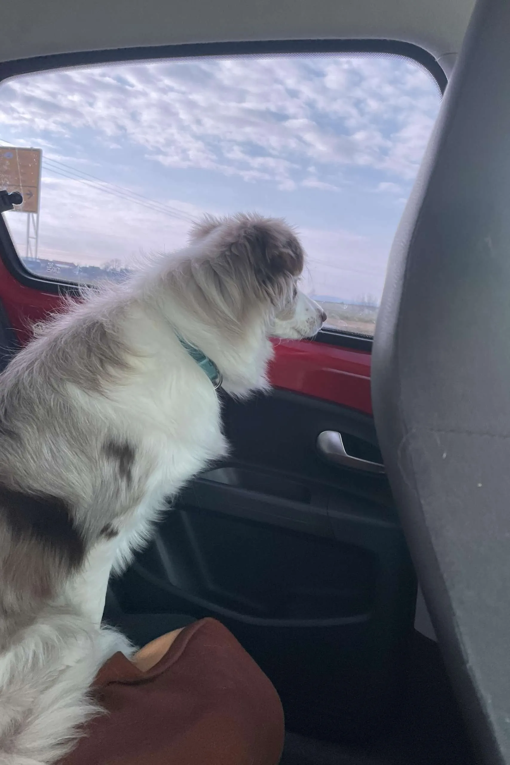 Březen - Začátek, Oleksandra Vozniuk 5.A